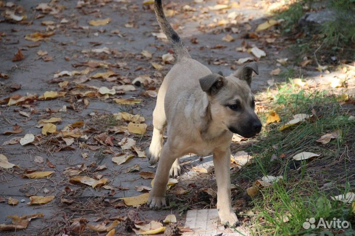 Девочка 3,5 месяца. Стерильна