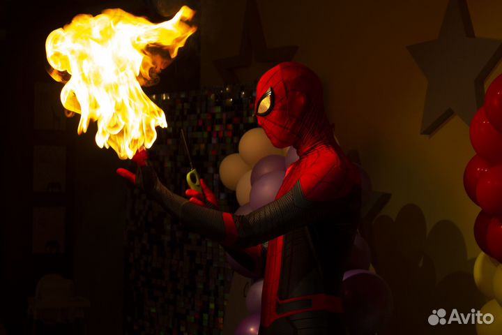 Аниматор, шоу программы, крио шоу с экспериментами