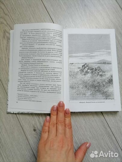 Л. Буссенар Капитан Сорви-Голова