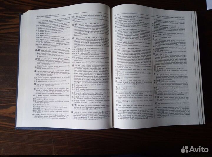 Большой китайско-русский, русско-китайский словарь