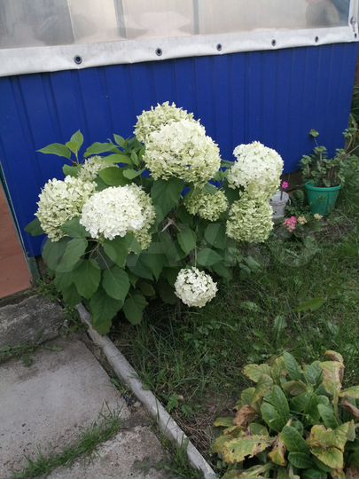 Дача 42 м² на участке 13 сот.