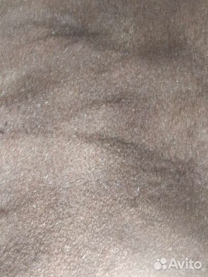 Зерно пшеницы