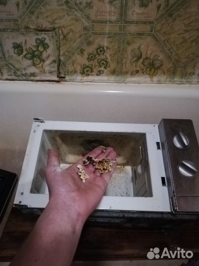 Ремонт бытовой техники