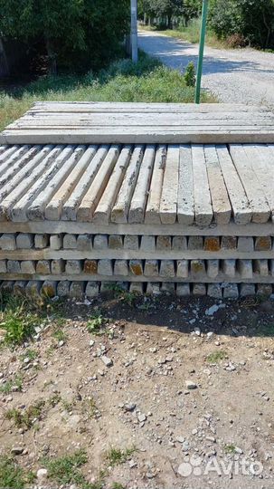 Кол виноградный