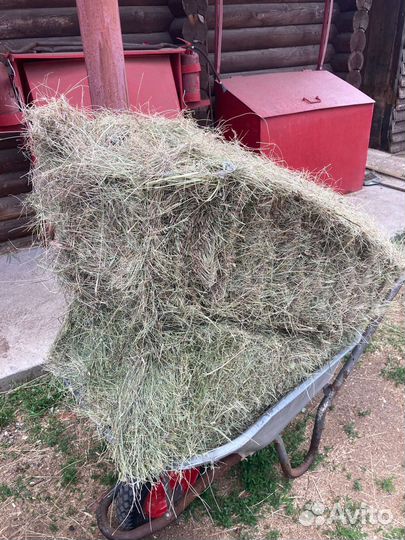 Сено пырей, разнотравье, ковыл