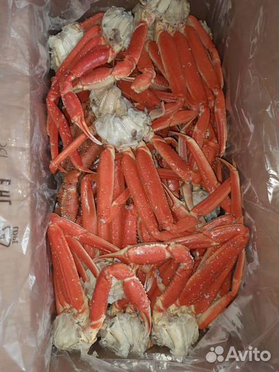 Креветки, Лангустины, Краб, Гребешок, Мидии