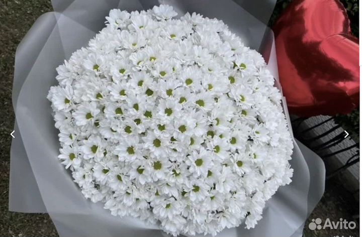 Ромашки цветы букеты доставка цветов