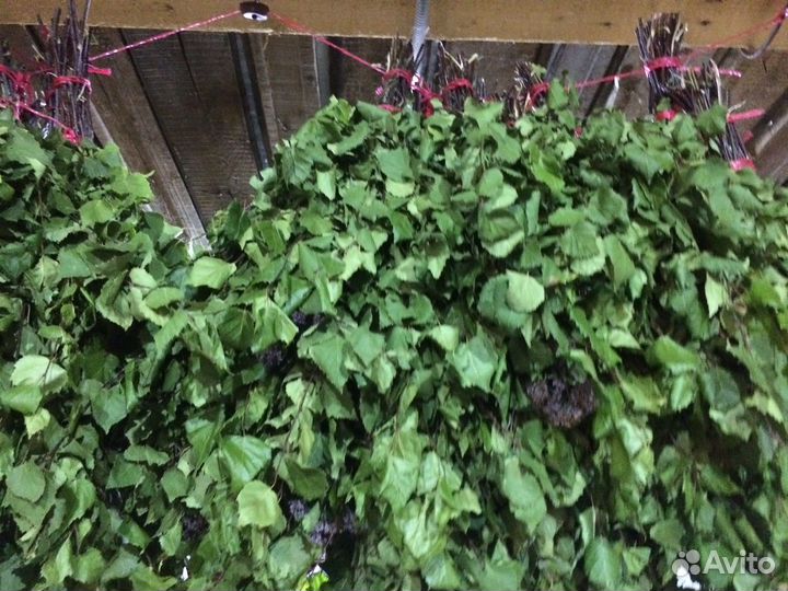 Банные веники.Доставка