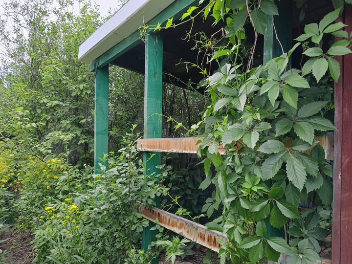 Участок 7 сот. (СНТ, ДНП)