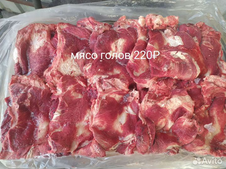 Мясо говядина для собак