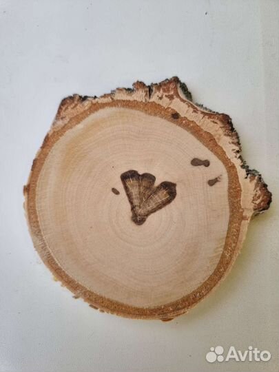 Спилы дерева