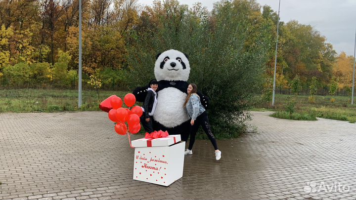 Панда надувной костюм