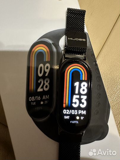 Большой лоток для Мейн-куна