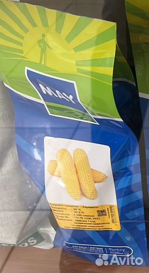 Семена Кукурузы 