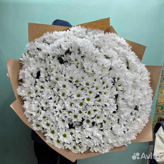 Куст. хризантема с беспл. доставкой