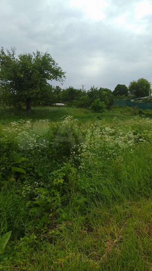 Участок 7 га (ИЖС)