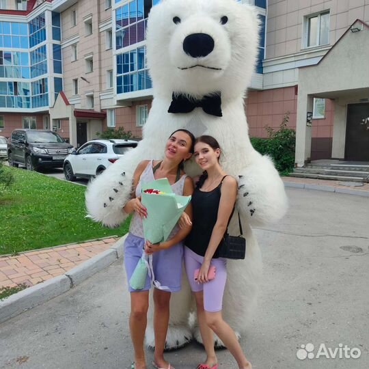 Поздравление белого мишки