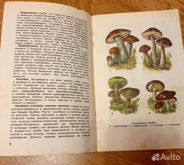 Книги о грибах. Ягоды