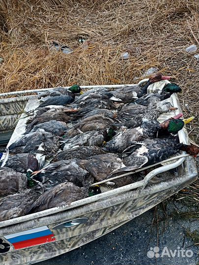 Охота -рыбалка