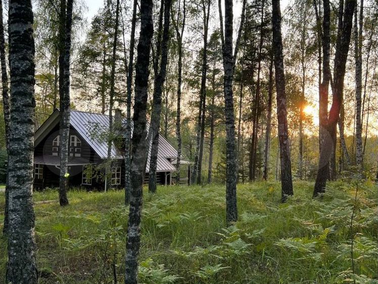 Печать фотографий в Твери, Распечатывать Фото онлайн | Фотоцентры Portfoto г. Тверь