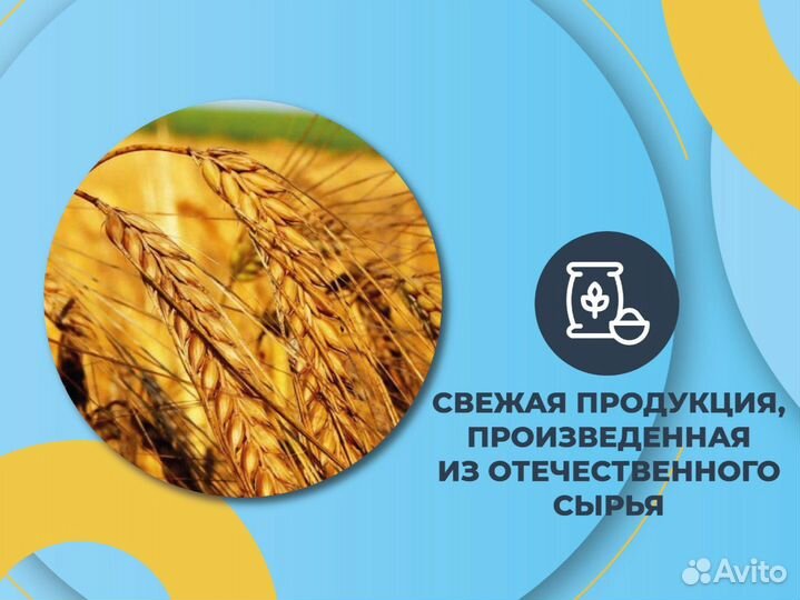 Ячмень
