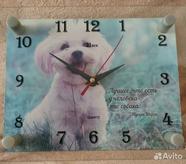 Рюкзак школьный ортопедический