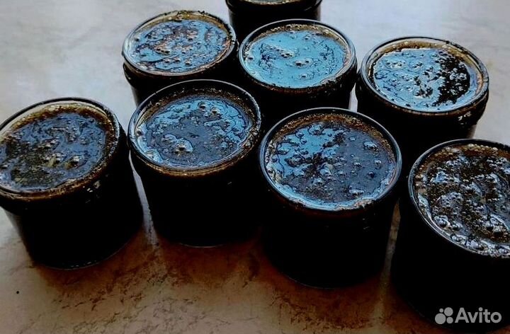 Мед волшебный для него