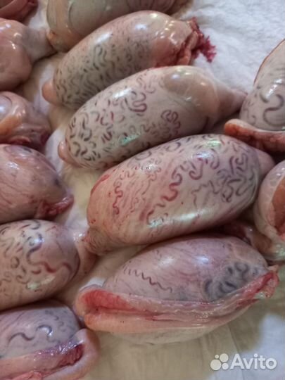 Сердце,рубец,субпродукты,ноги,обрезь говядина