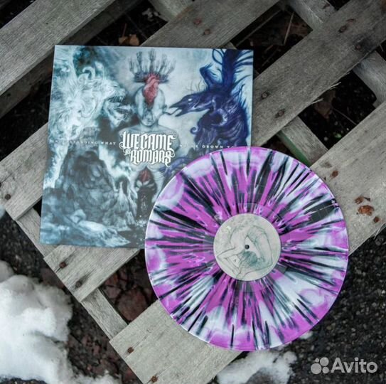 We Came As Romans Understanding What винил цветной