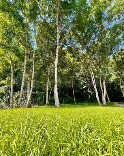 Дом 97 м² на участке 14 сот.