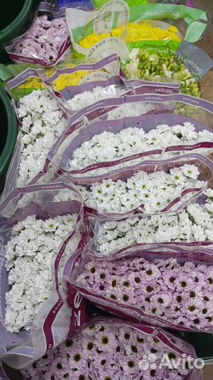 Цветы срезка