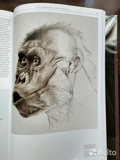 Science Illustration