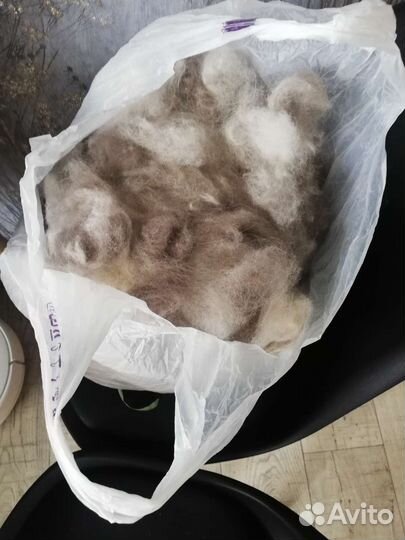 Шерсть собаки, колли