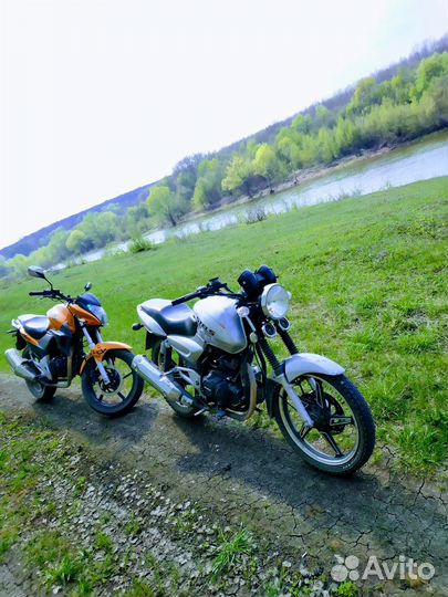 Стелс дельта 200