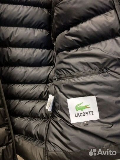 Пуховик Lacoste