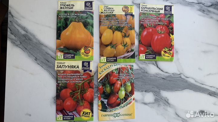 Рассада томатов