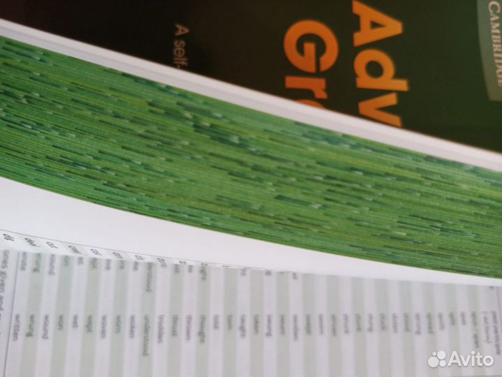 Advanced grammar in use