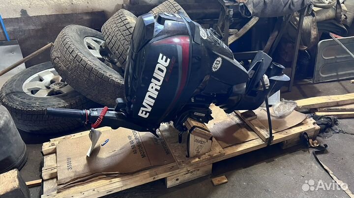 Лодочный мотор BRP Evinrude 25 e-tec