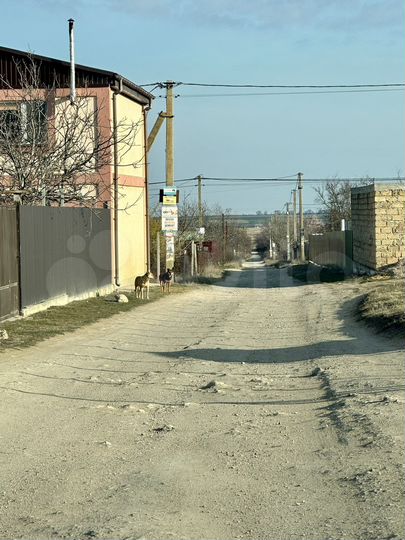 Участок 5,3 сот. (СНТ, ДНП)