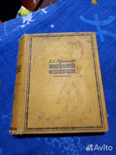 Пушкин евгений онегин 18 век