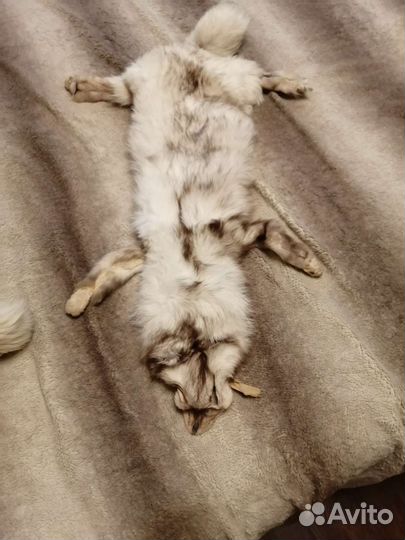 Воротник из песца