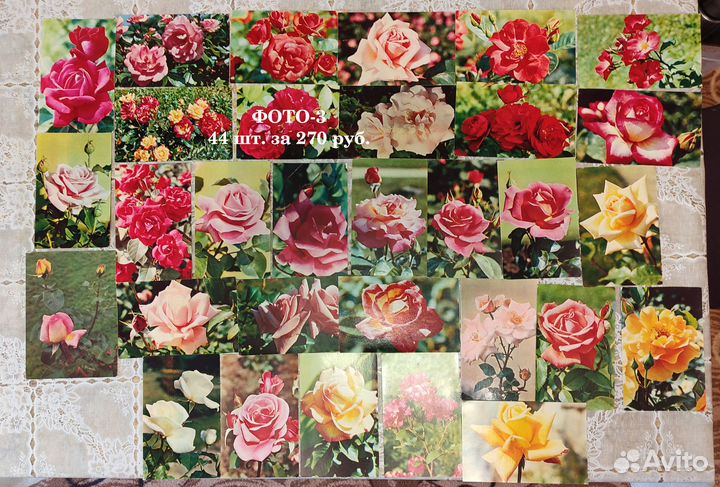 Открытки с розами