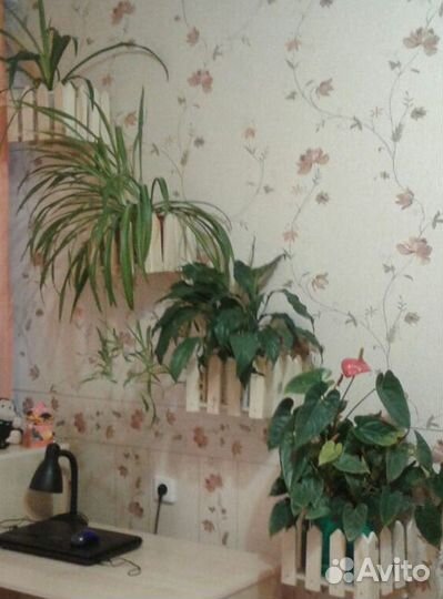 Подставка для цветов настенная