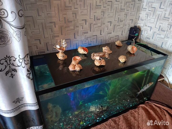 Аквариум