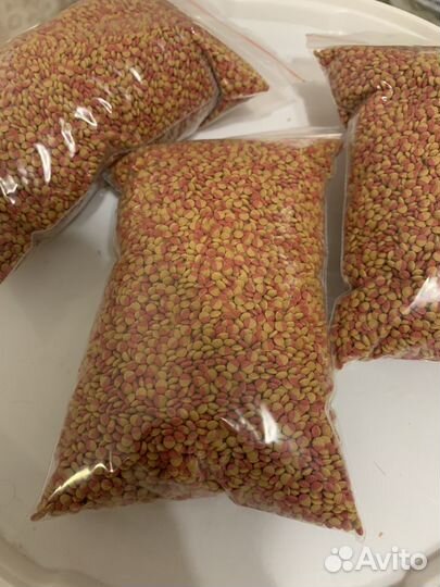 Корм для цихлид