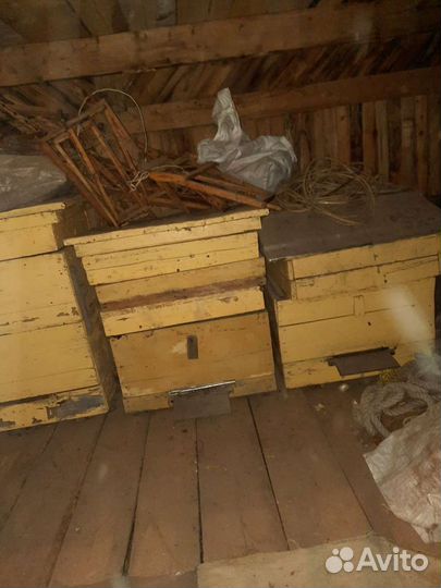 Улья с рамками и подрамниками