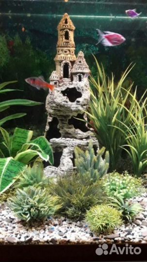 Большой аквариум