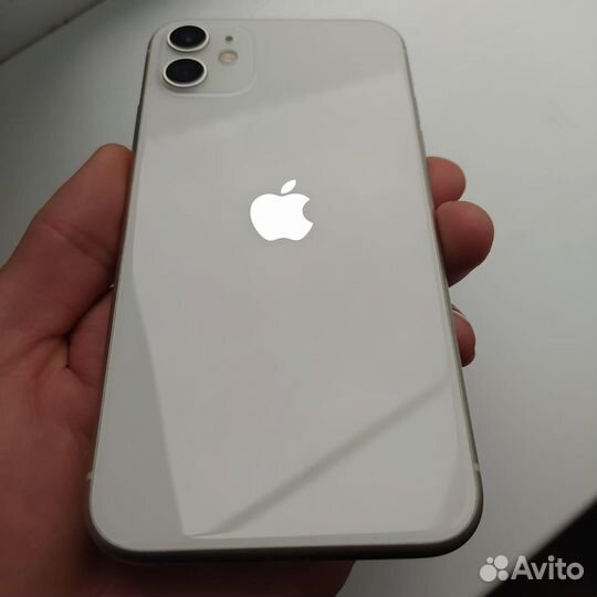 iPhone 11