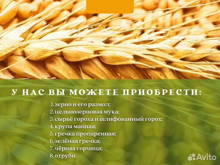 Цельнозерновая мука (кг)