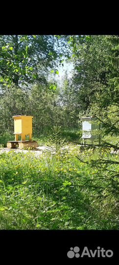 Ульи деревянные для пчел